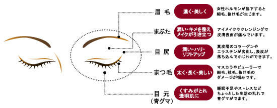 �ӡ��Х󥸥祢�������������Ʊ�