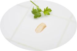 gousha organics�� Berry Sential�ʥ٥꡼���󥷥��˥��꡼�� ����Ƿ�⥴������Υ٥꡼���꡼�����饯�꡼�ब�о졪